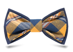 галстук-бабочка синяя с желтым